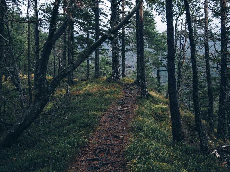 店匠工场<br>TikTok/Shopify 电商带货号